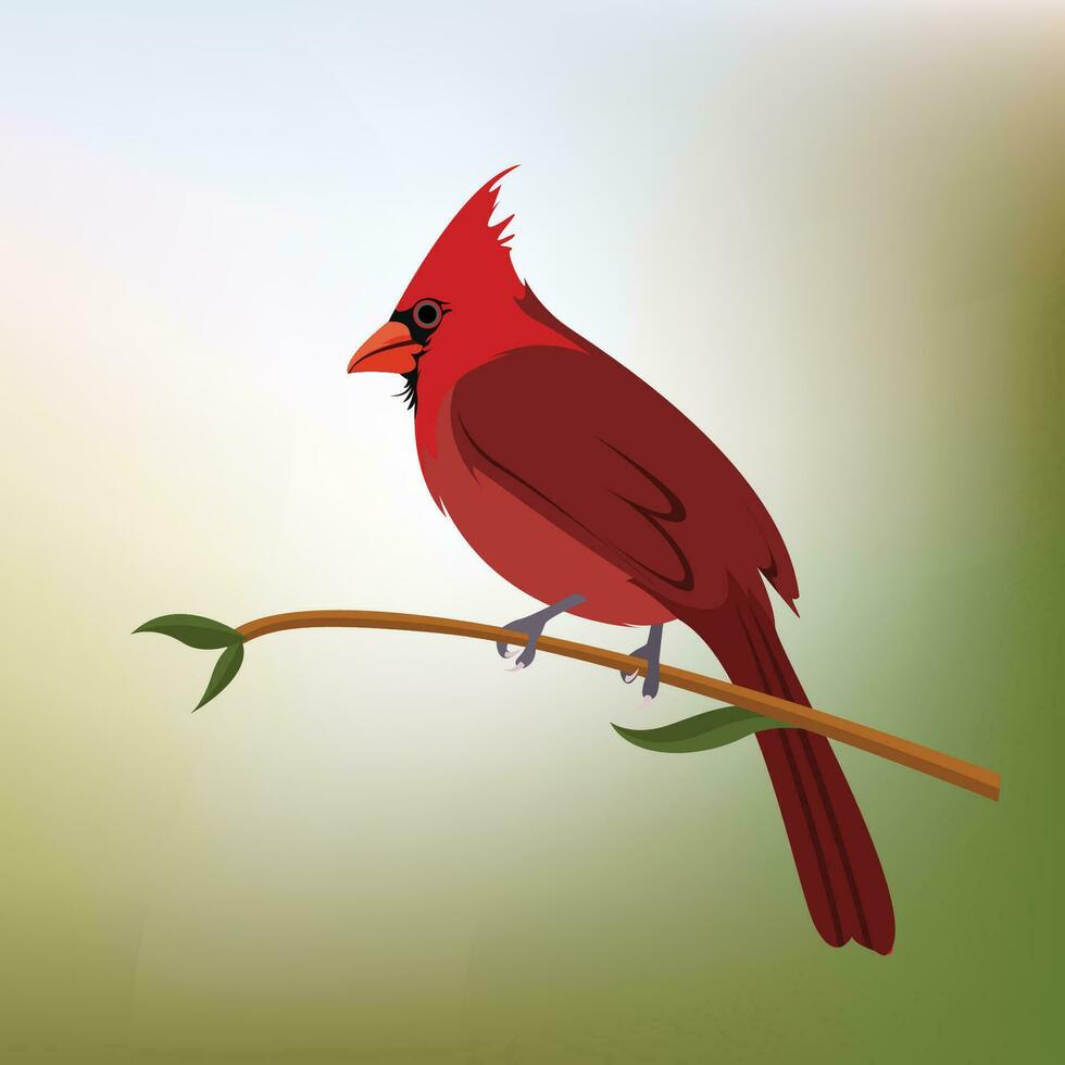 noordelijk kardinalen vector illustratie