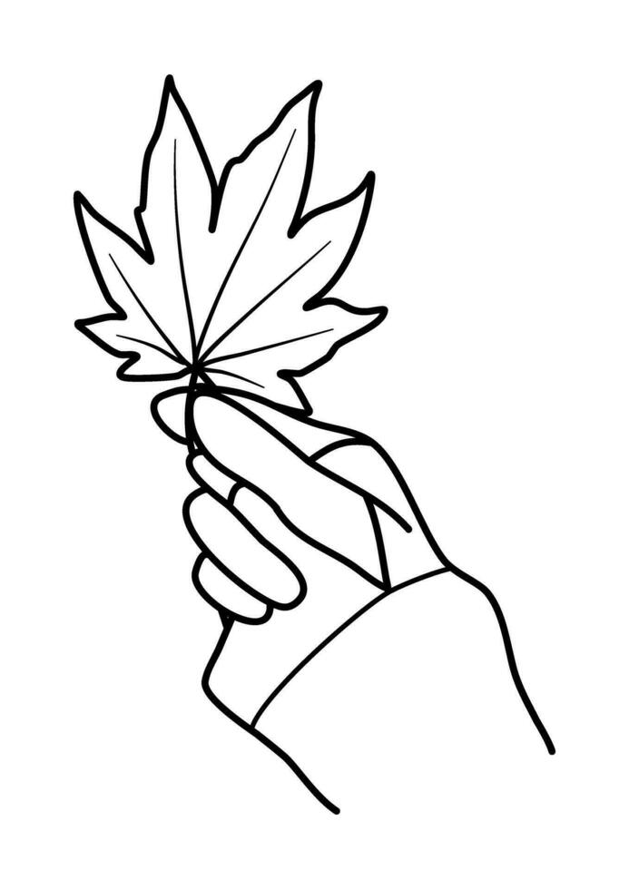 hand- Holding vallen blad herfst illustratie vector