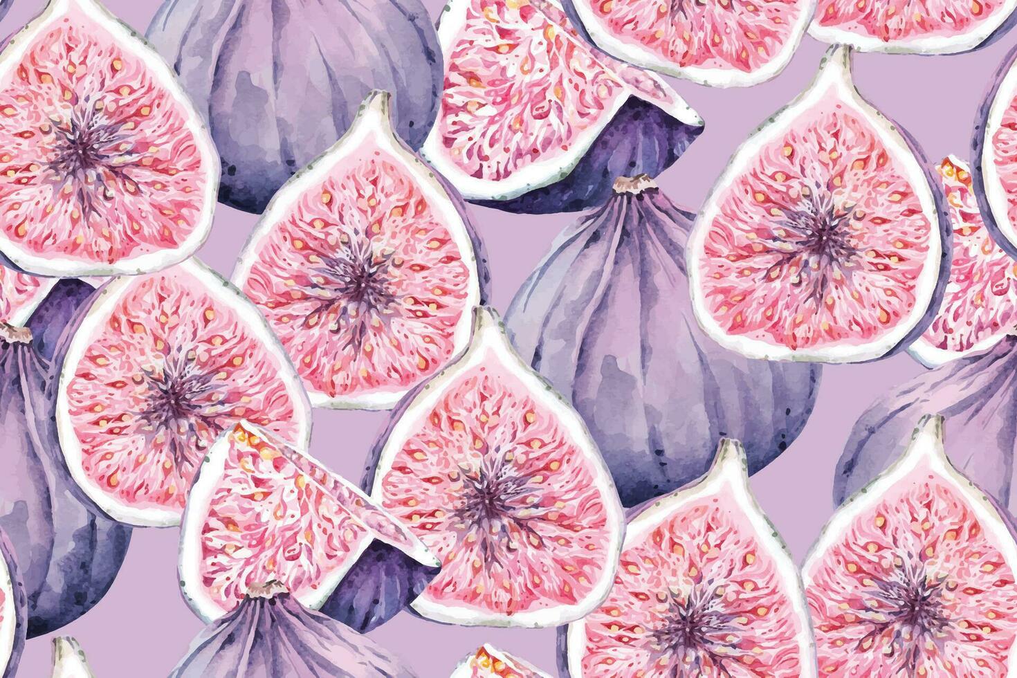 naadloos patroon van vijgen met aquarel.fruit achtergrond.rijp Purper vers vijgen.geschikt voor ontwerpen kleding stof patronen of behang, geschenk omhulsel papier. vector