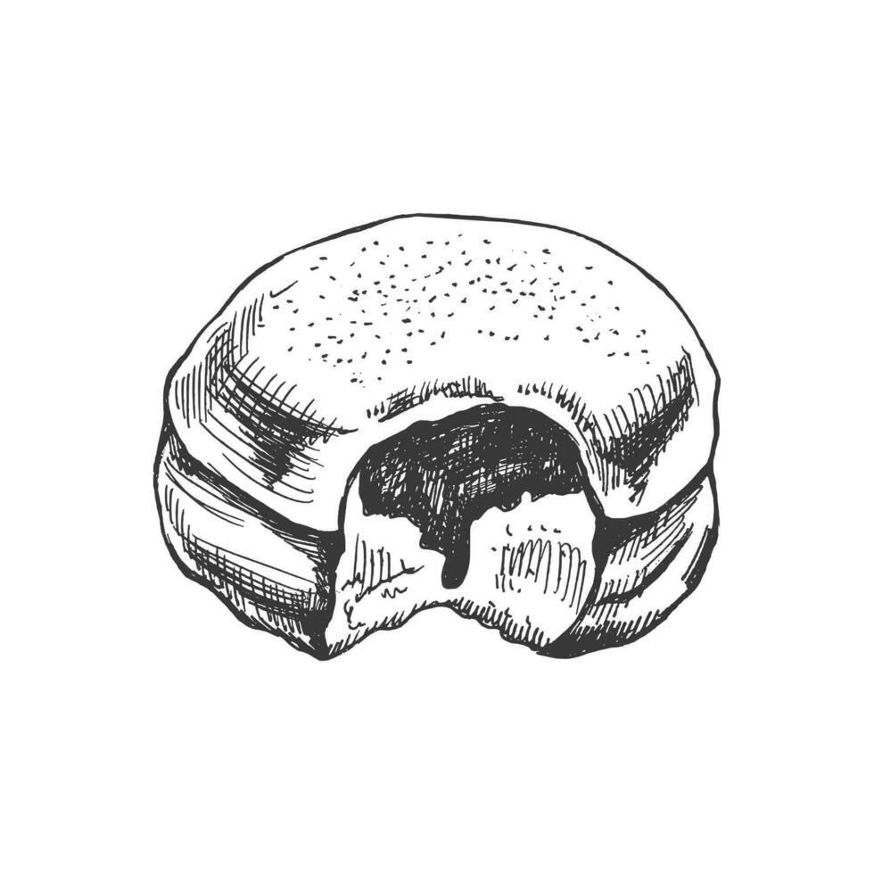traditioneel Duitse Pools donut met jam, afgestoft. wijnoogst illustratie. gebakje snoepgoed, nagerecht. element voor de ontwerp van etiketten, verpakking en ansichtkaarten. vector