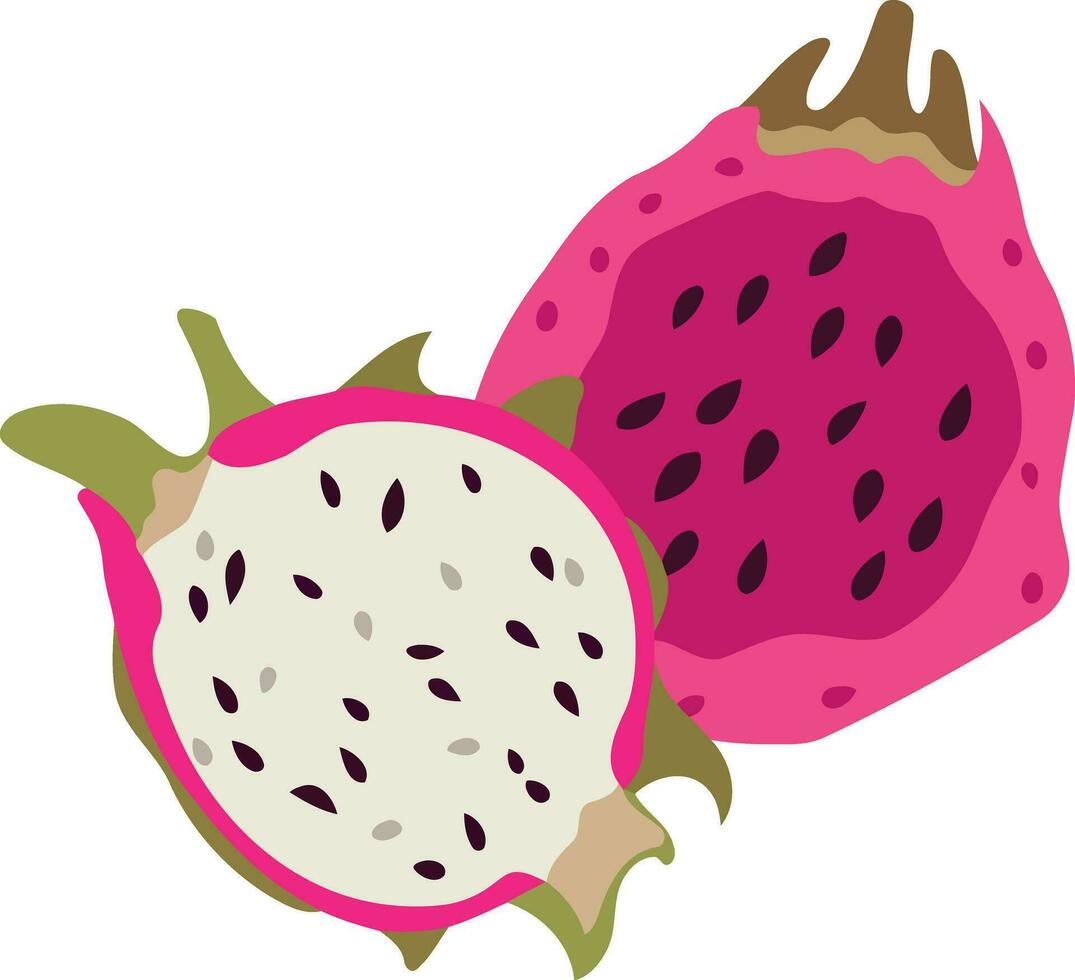 voedsel fruit roze pitaya draak fruit vector