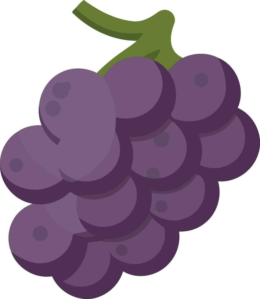 fruit bundel van Purper druiven vector