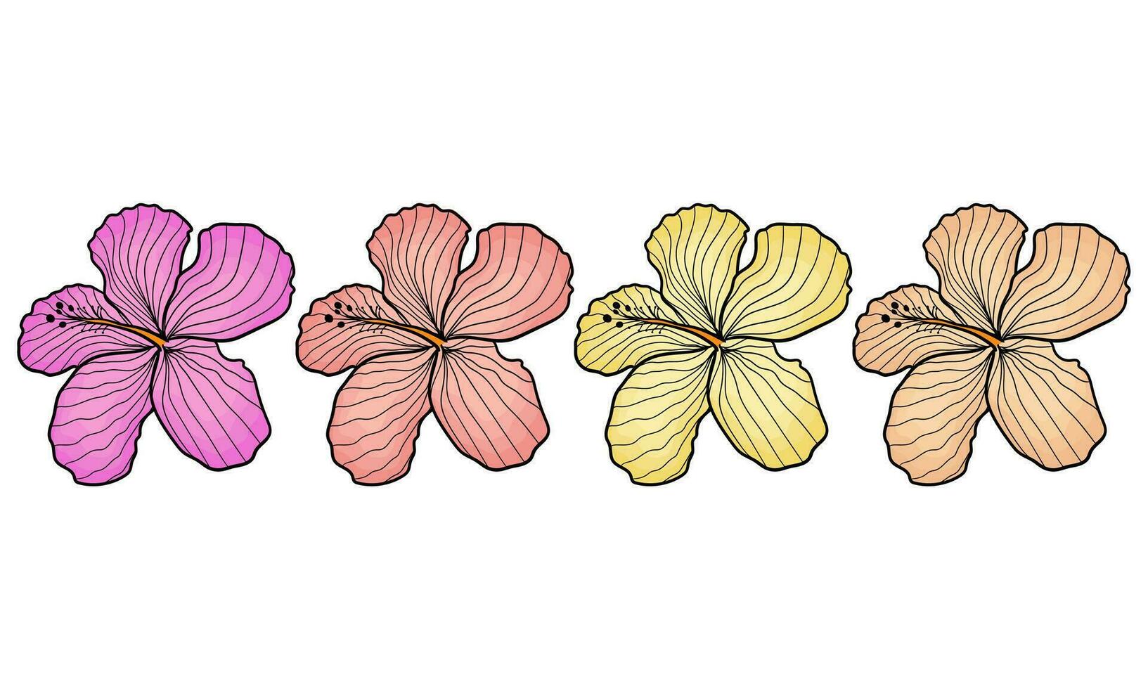 een verzameling van illustraties van hibicus bloemen vector