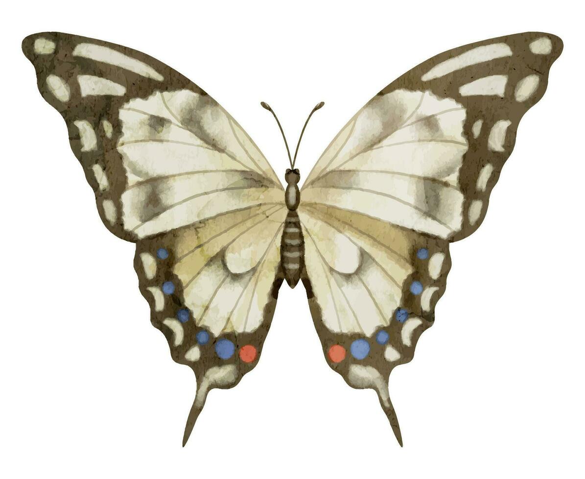 vlinder machaon Aan wit geïsoleerd achtergrond. waterverf illustratie van insect met bruin Vleugels. hand- getrokken klem kunst van vliegend mot voor kaarten en pictogrammen. tekening van wijnoogst afdrukken in pastel kleuren vector