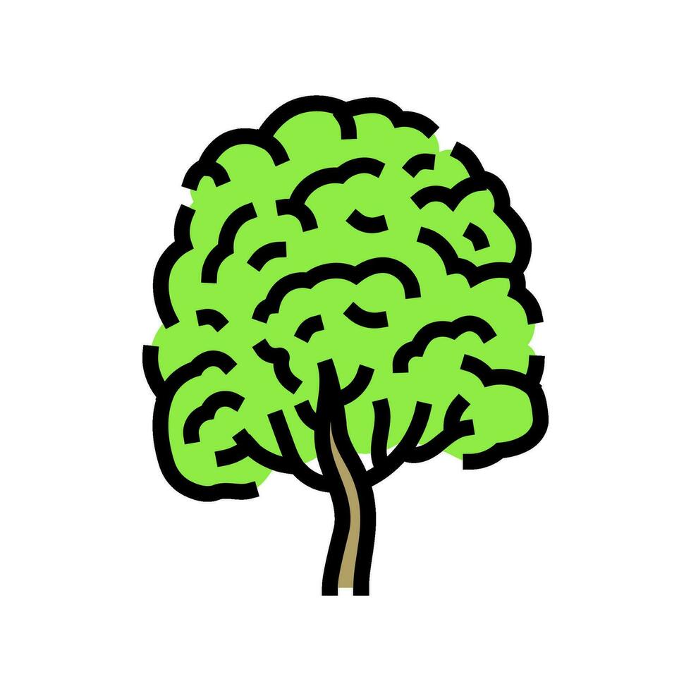 neem boom oerwoud amazon kleur icoon vector illustratie