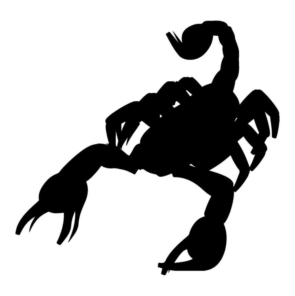 schorpioen silhouet vector