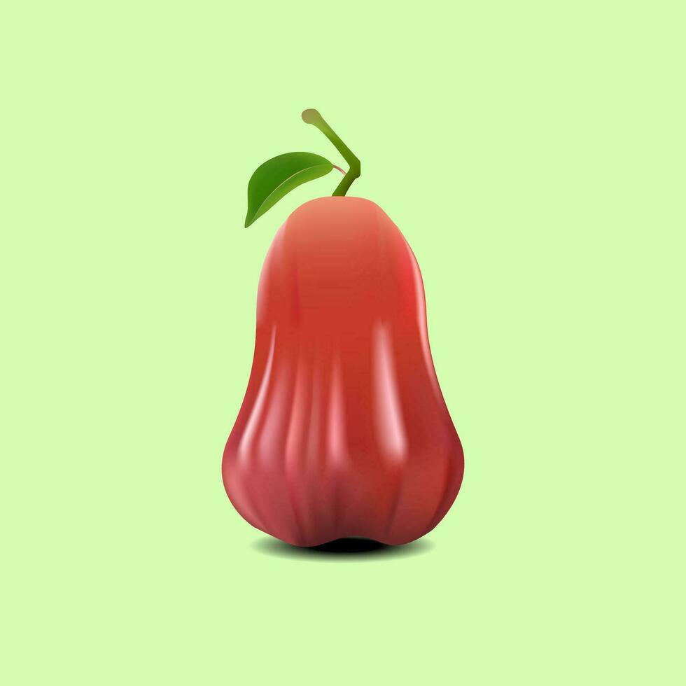 fruit vector illustratie modern realistisch stijl, roos appel Aan een licht groen achtergrond.