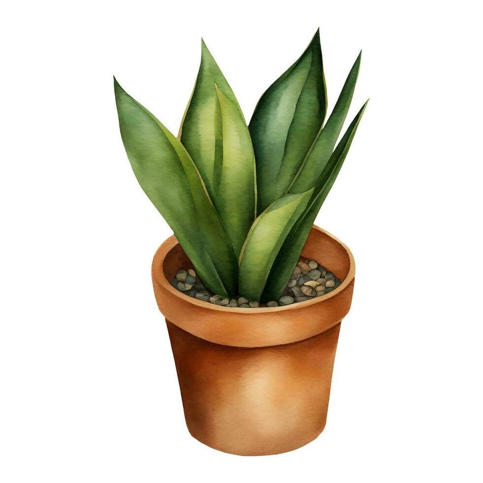 slang fabriek sansivieria dracaena trifasciata in klei pot geïsoleerd hand- getrokken waterverf schilderij illustratie vector