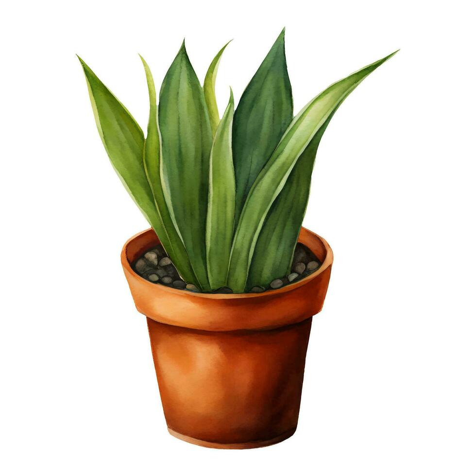 slang fabriek sansivieria dracaena trifasciata in klei pot geïsoleerd hand- getrokken waterverf schilderij illustratie vector