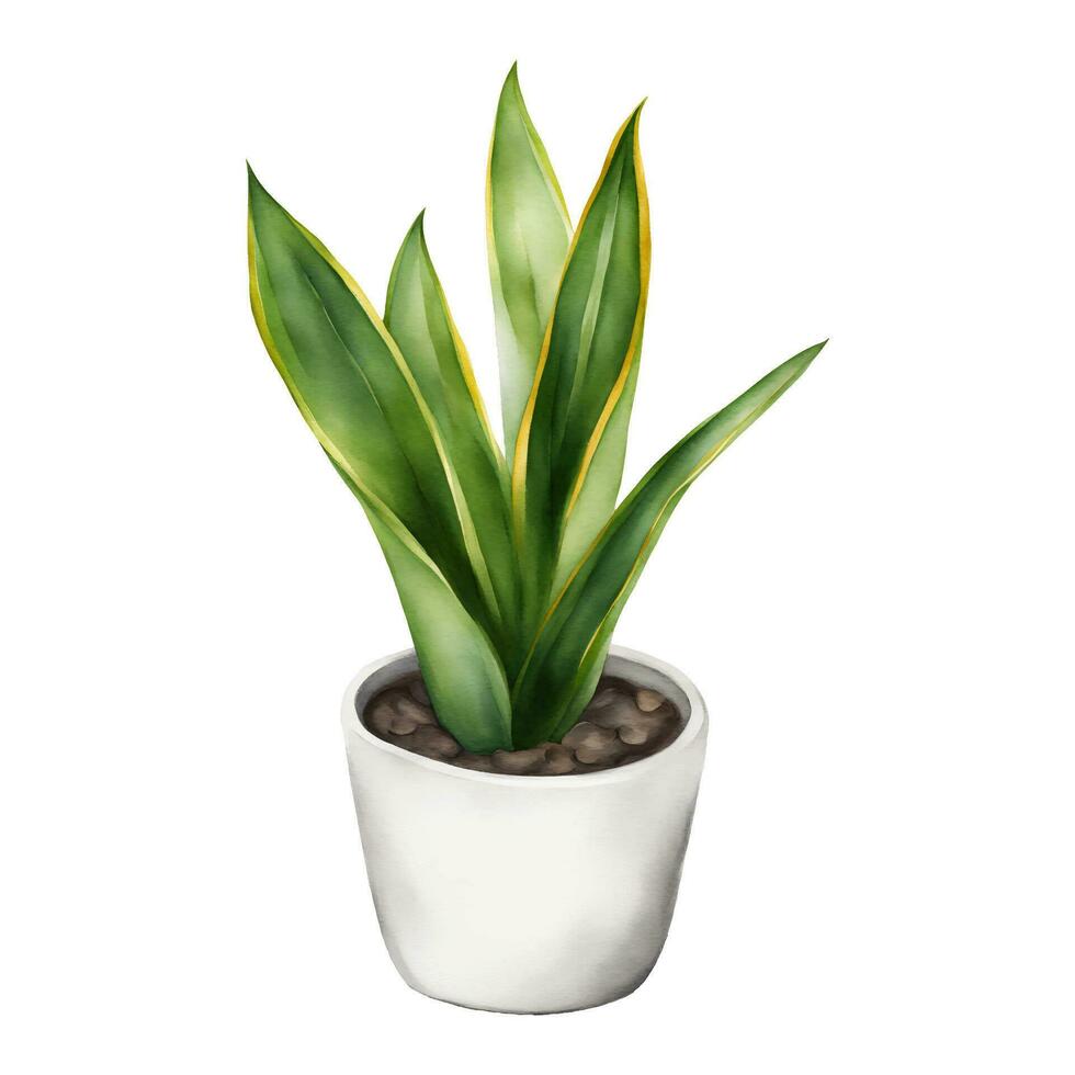 slang fabriek sansivieria dracaena trifasciata in wit pot geïsoleerd hand- getrokken waterverf schilderij illustratie vector