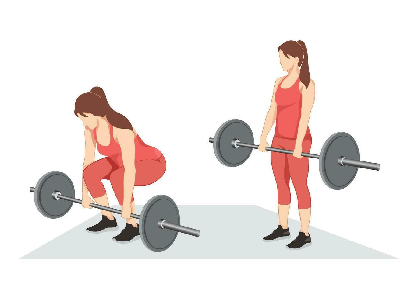 vrouw aan het doen barbell deadlifts oefening. vlak vector illustratie Aan wit achtergrond