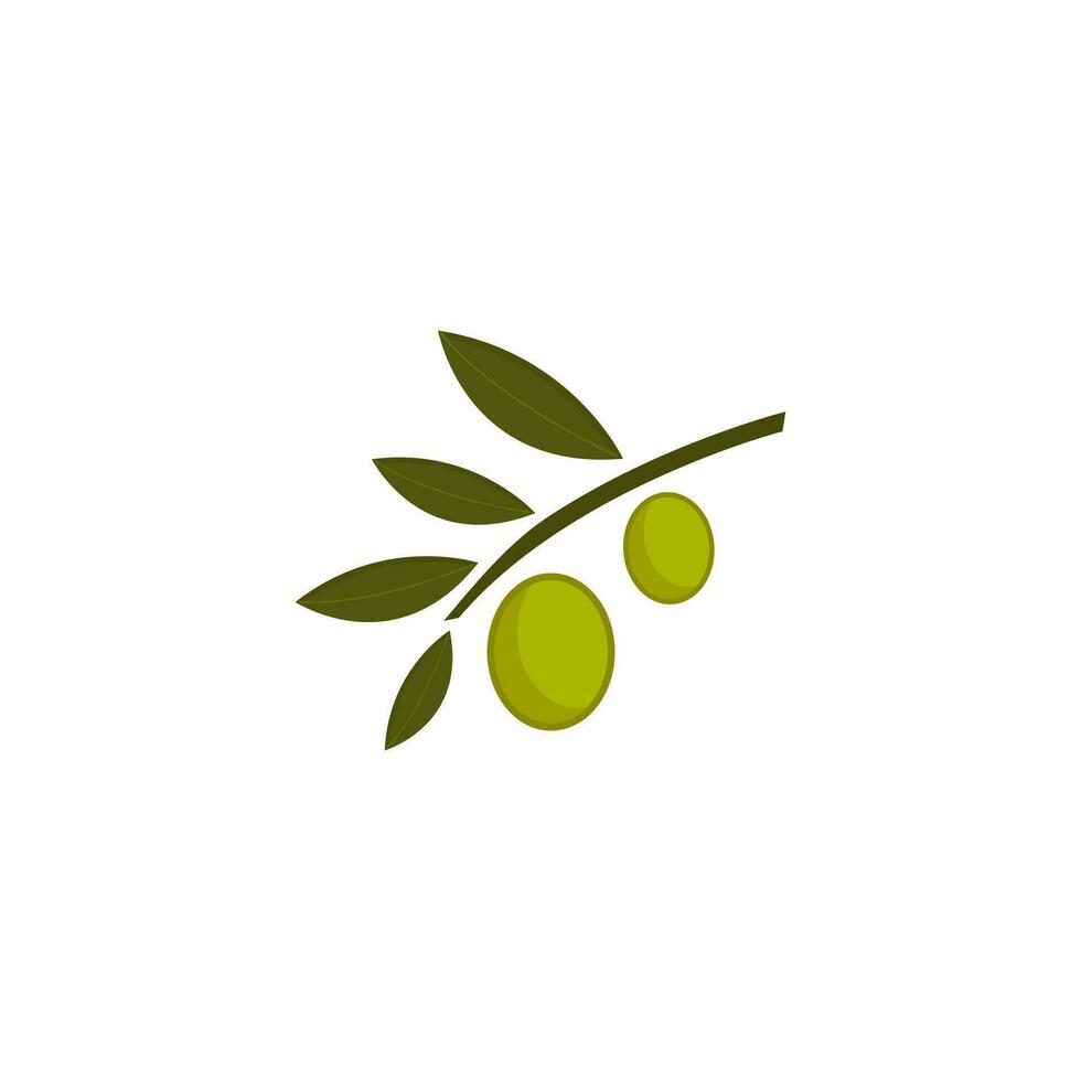 groen olijven in de Afdeling. geïsoleerd vector illustratie.