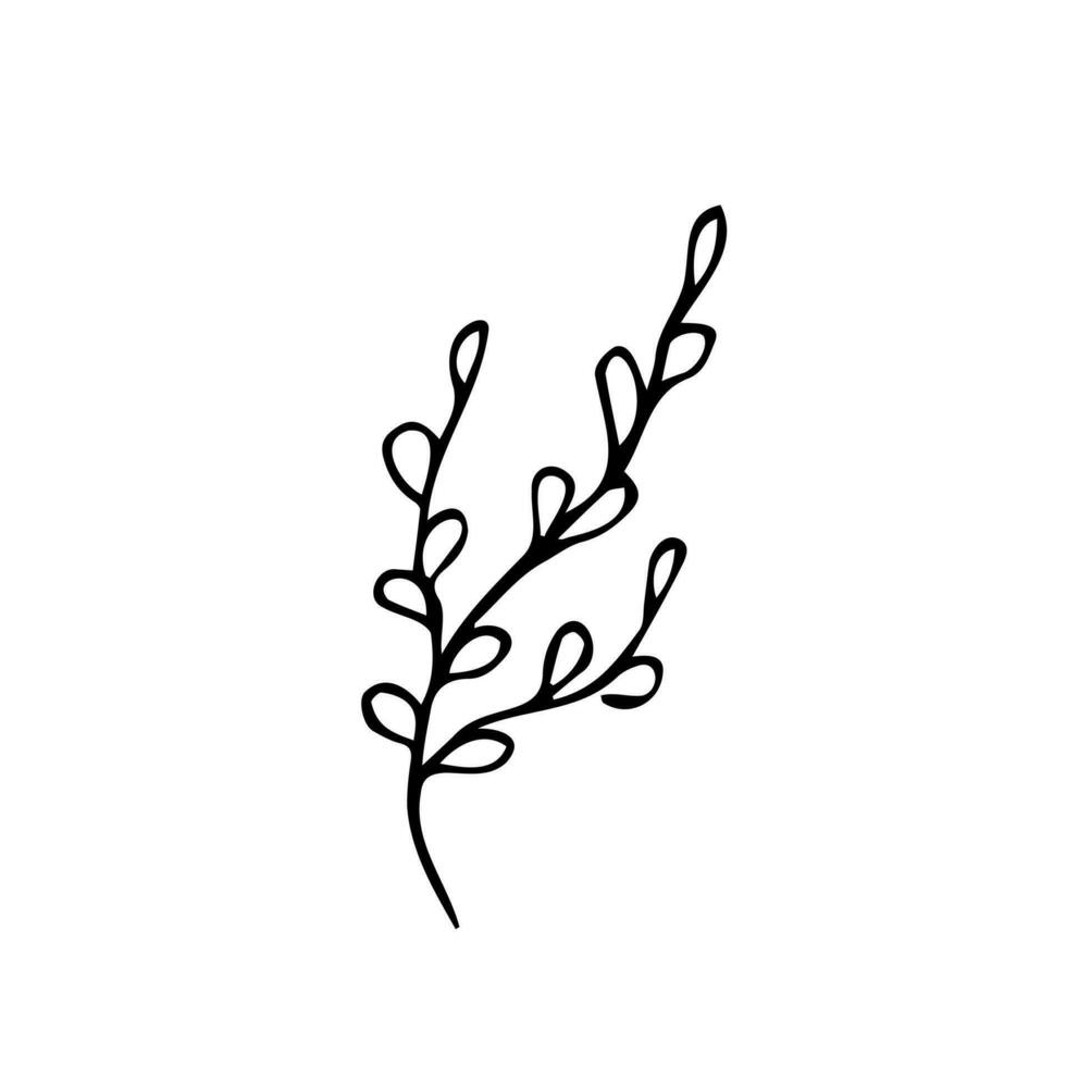 hand- getrokken boom takken,vector tekening botanisch element vector