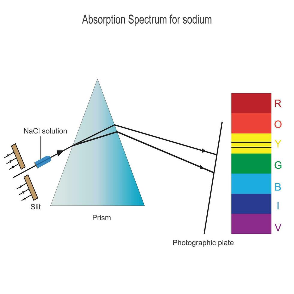 absorptie spectrum voor natrium.dit type spectrum is geproduceerd wanneer atomen absorberen energie Bij specifiek frequenties, lijn spectrum vector
