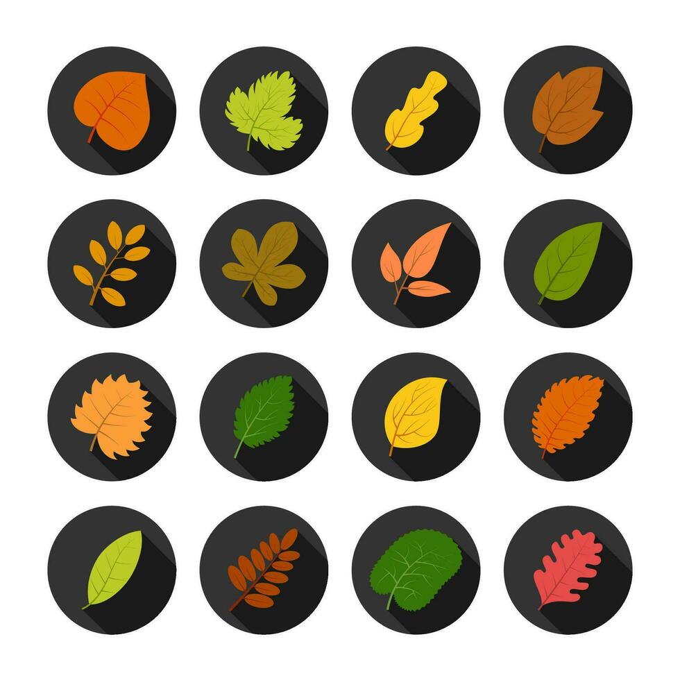 reeks van zestien herfst bladeren in cirkels met schaduwen. vector illustratie