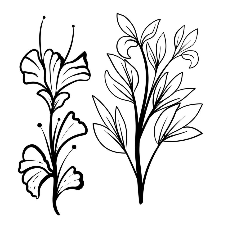 reeks van botanisch kunsten. hand- getrokken lijn tekening van abstract bloem, bloemen, roos, tropisch bladeren, voorjaar en herfst blad, boeket van olijven vector