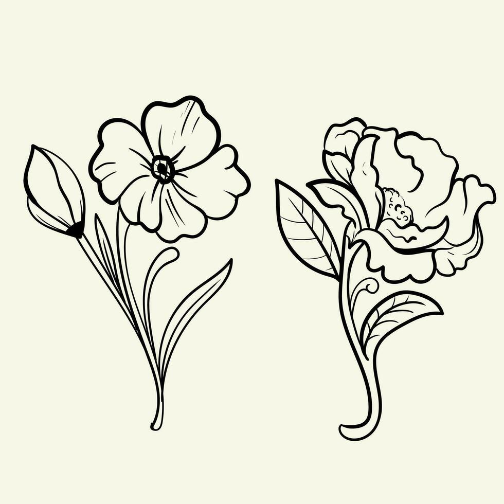reeks van botanisch kunsten. hand- getrokken lijn tekening van abstract bloem, bloemen, roos, tropisch bladeren, voorjaar en herfst blad, boeket van olijven vector