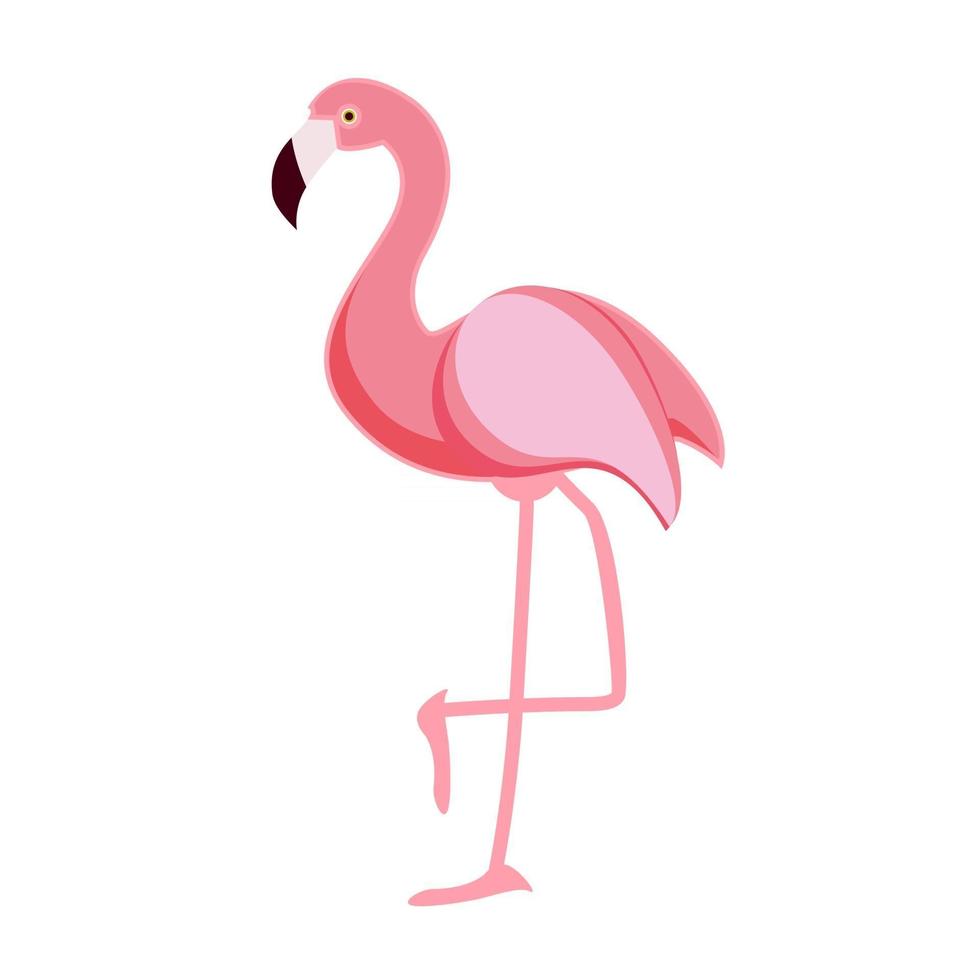 schattige roze flamingo pictogram vectorillustratie vector