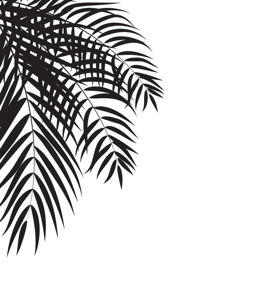 palmboom blad silhouet achtergrond vector illustrat