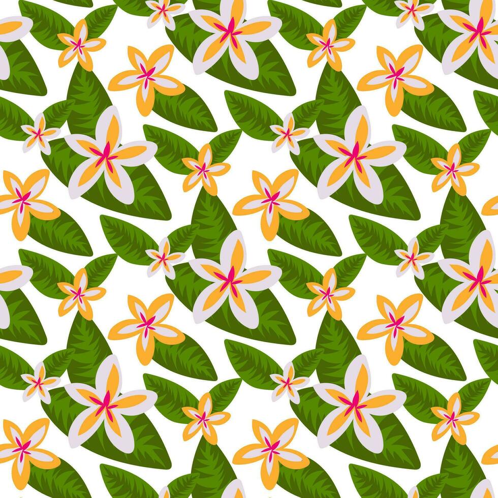 patroon met plumeria bloemen in geel en wit bloemen met tropisch bladeren. botanisch structuur met bloemen in de het formulier van sterren in groot groen bladeren Aan een wit achtergrond afdrukken Aan textiel, papier vector