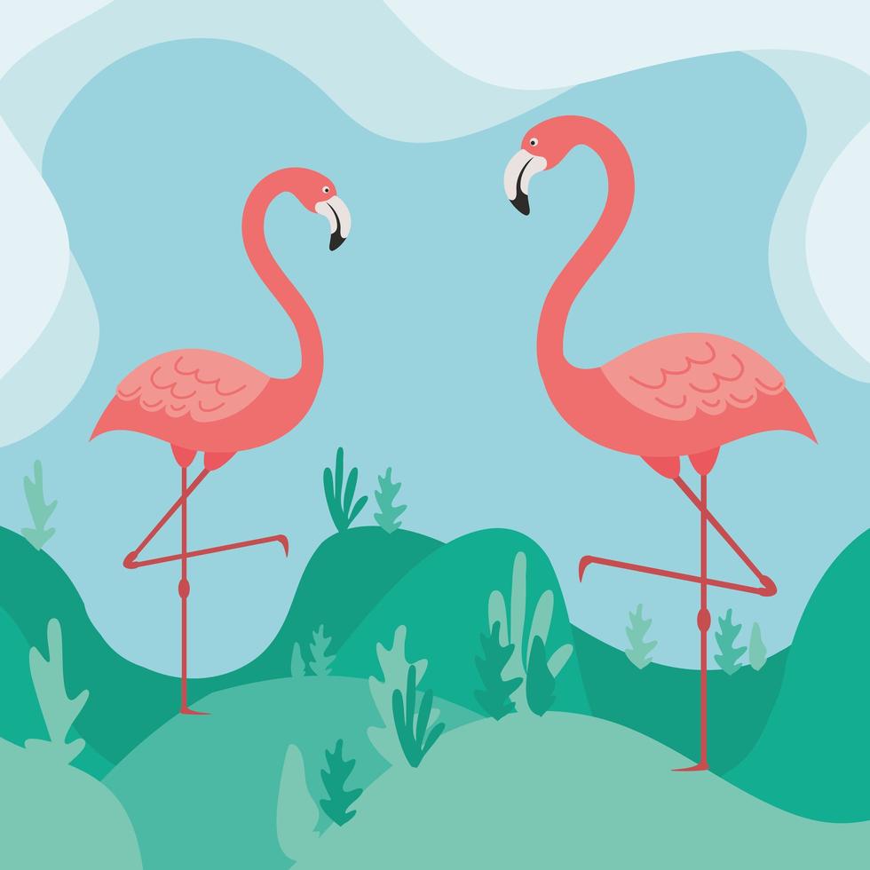 schattige flamingo's tegenover elkaar vector