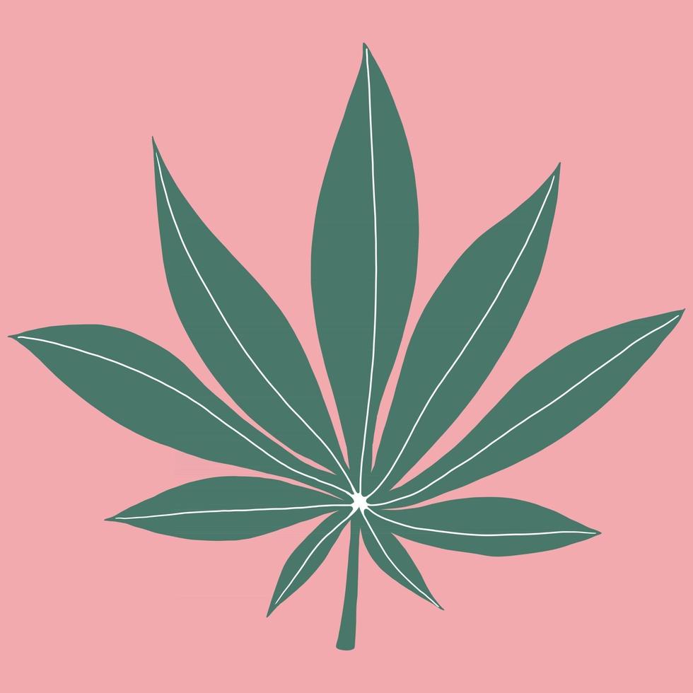 cannabis blad uit de vrije hand tekenen op roze achtergrond. vector