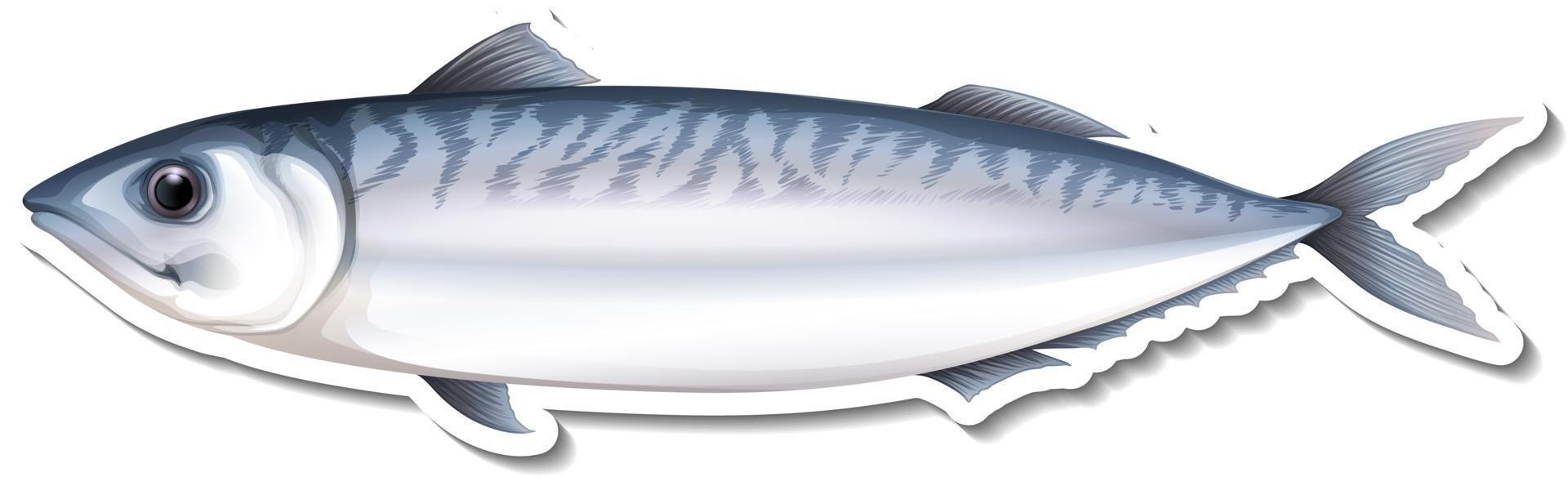 makreel zeevis cartoon sticker vector