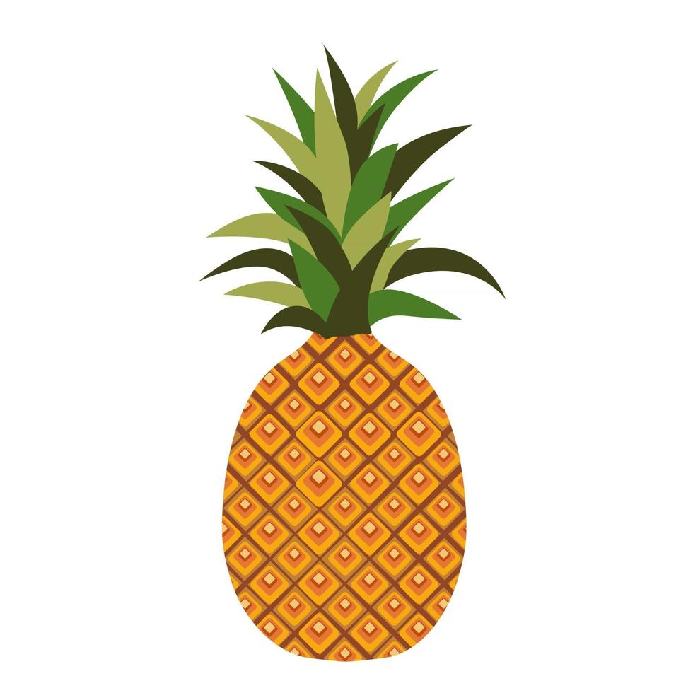 cartoon vector illustratie geïsoleerde object vers voedsel fruit ananas