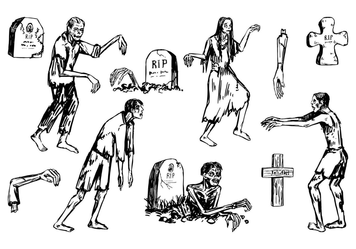 zombies en grafstenen set, wandelen dood mensen, kruipen uit van graven. halloween hand- getrokken vector illustratie in retro stijl. eng monsters schetsen verzameling geïsoleerd Aan wit.