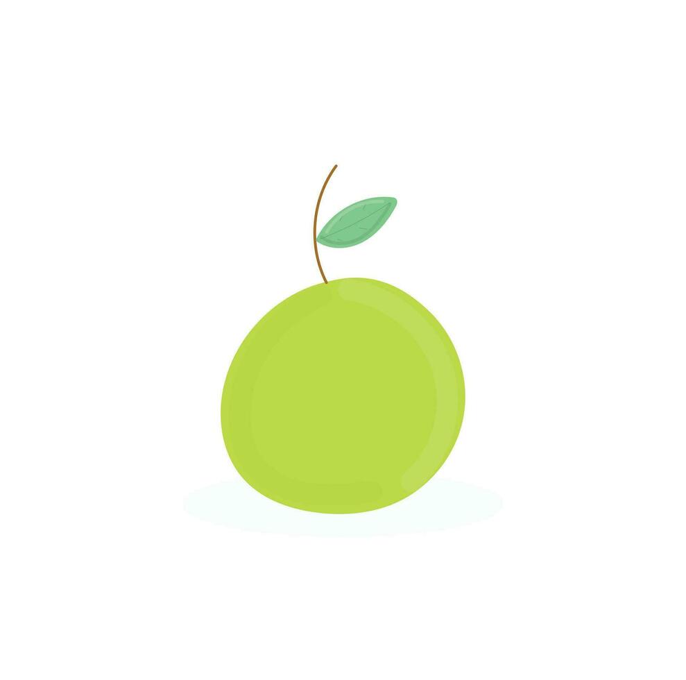 guave fruit vector