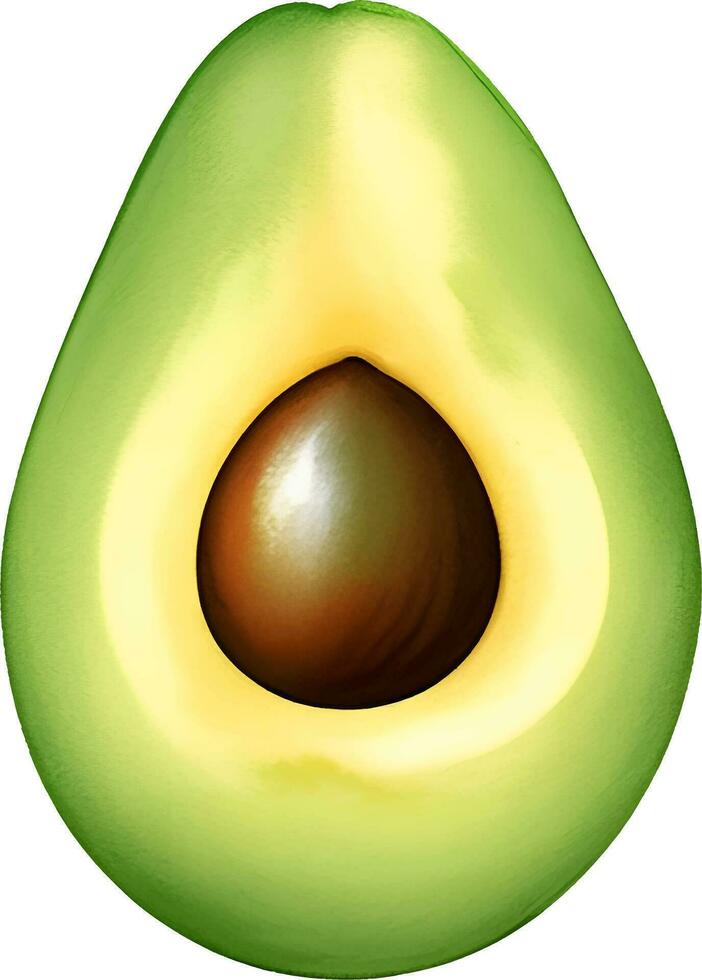 voor de helft avocado hand- getrokken illustratie vector geïsoleerd