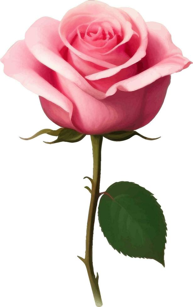 roze roos met blad gedetailleerd mooi hand- getrokken vector illustratie