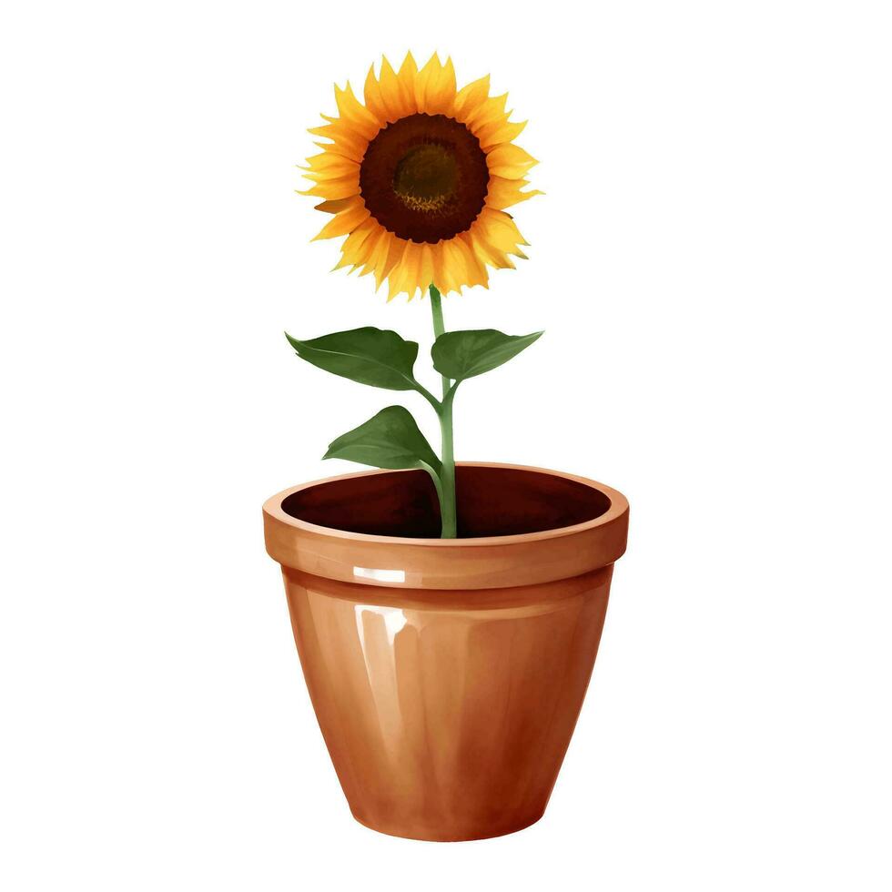 zonnebloem in een fabriek pot geïsoleerd gedetailleerd hand- getrokken schilderij illustratie vector