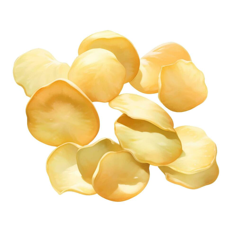 aardappel chips geïsoleerd gedetailleerd hand- getrokken schilderij illustratie vector