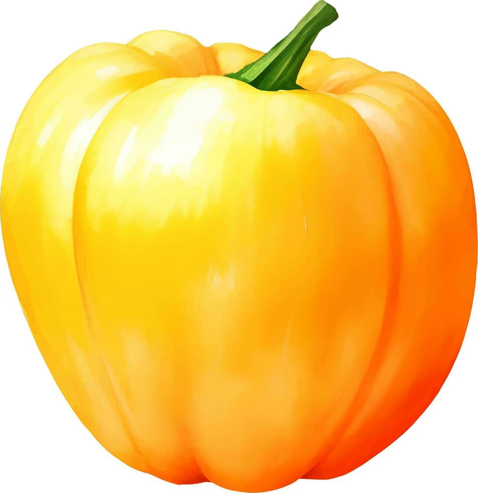 geel paprika klok peper geïsoleerd hand- getrokken schilderij illustratie vector