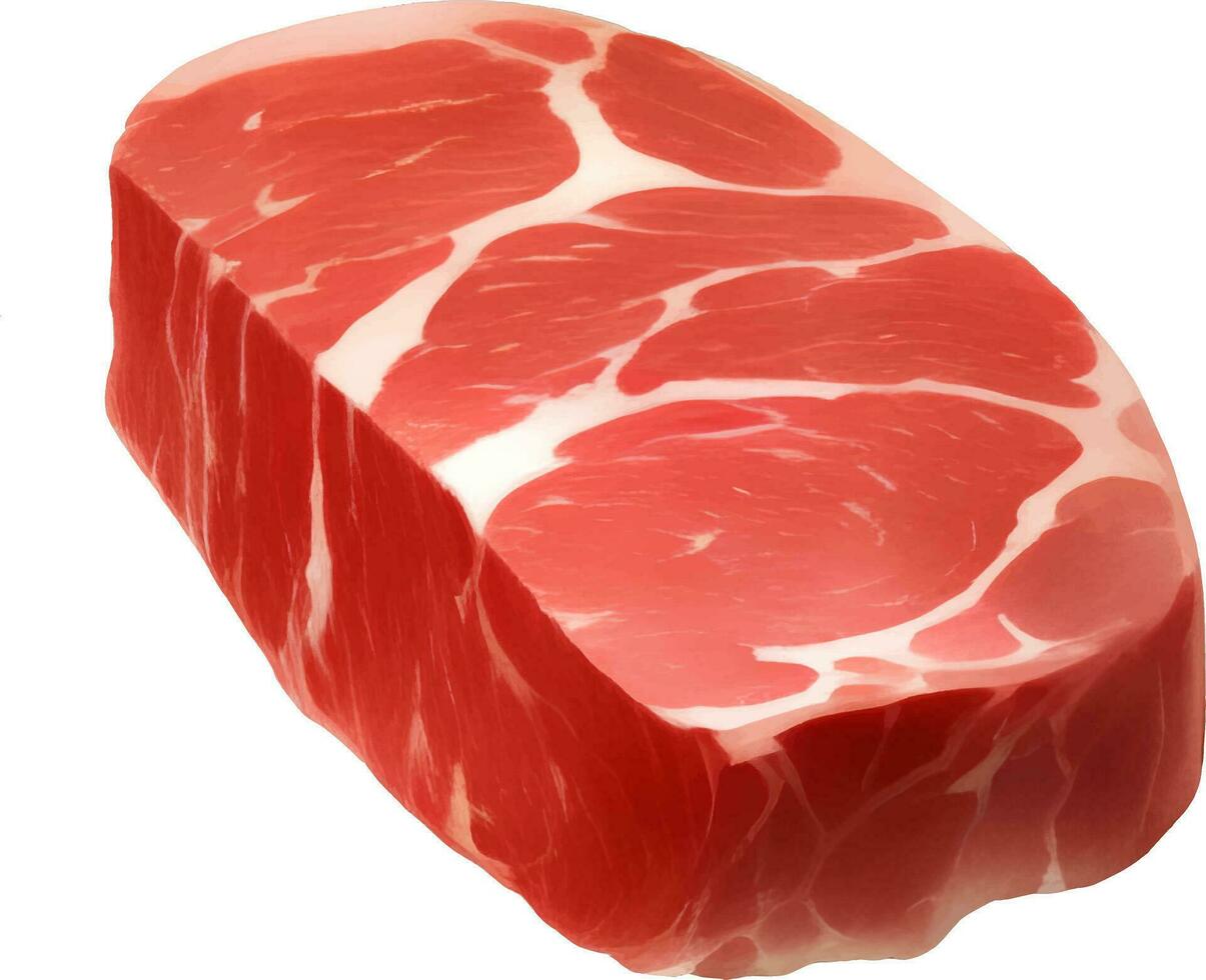rauw steak vlees gedetailleerd hand- getrokken illustratie vector geïsoleerd
