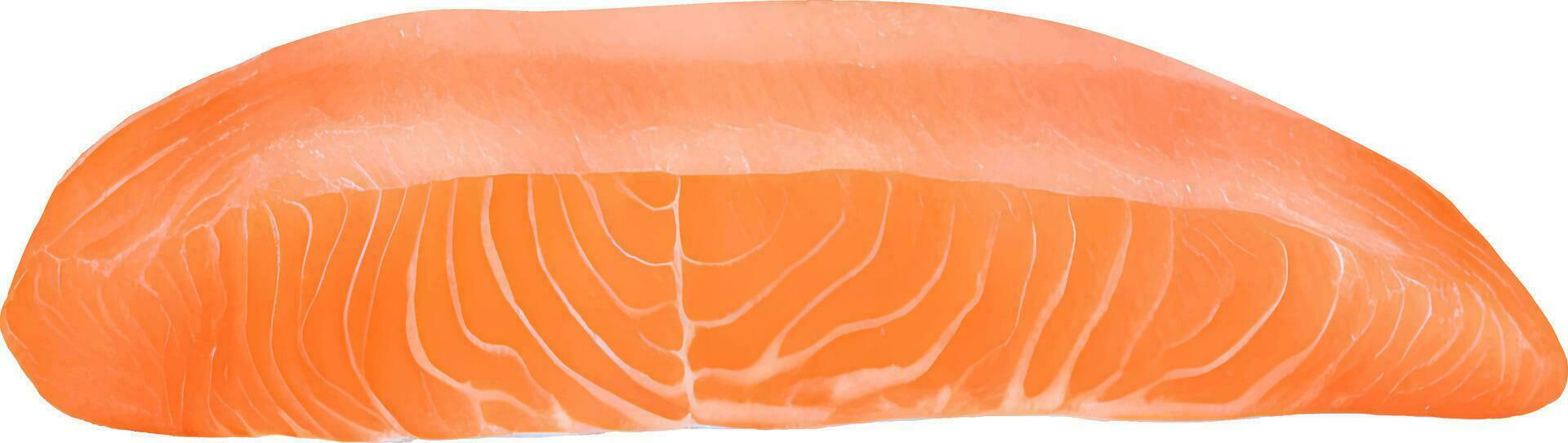 rauw gesneden Zalm filet gedetailleerd hand- getrokken illustratie vector geïsoleerd