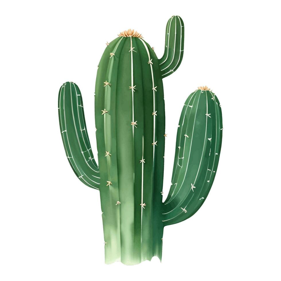 cactus geïsoleerd gedetailleerd hand- getrokken schilderij illustratie vector