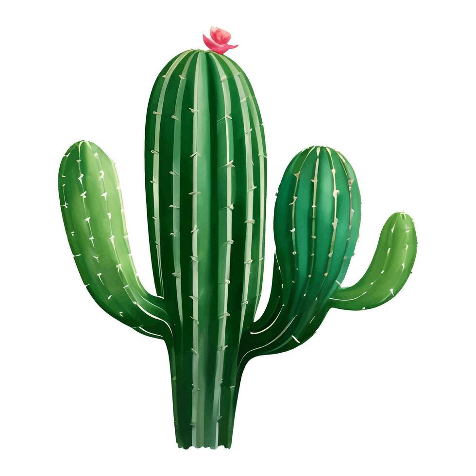 cactus met bloem geïsoleerd gedetailleerd hand- getrokken schilderij illustratie vector