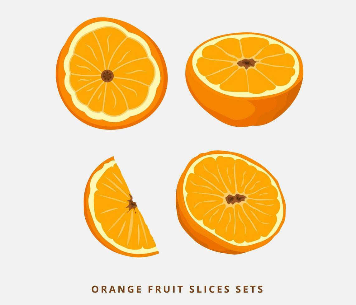 stukken van vers oranje fruit met een helder oranje kleur vector