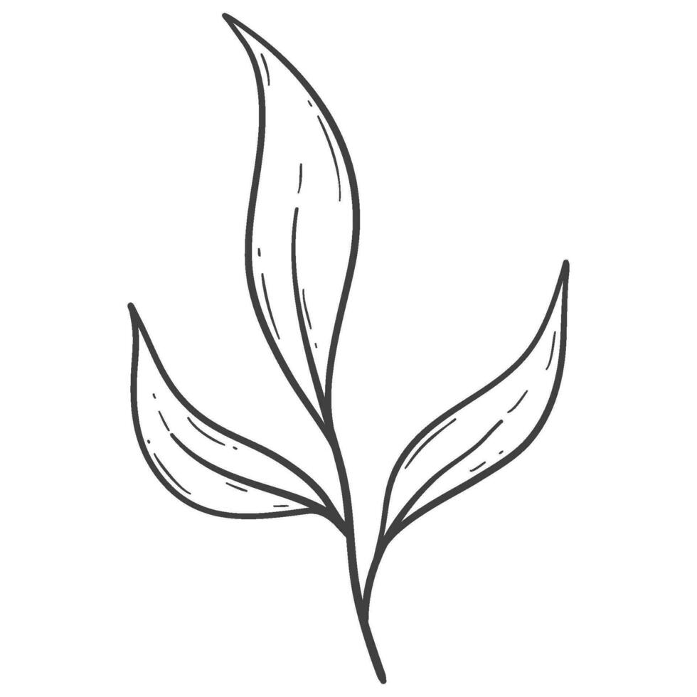 biologisch herfst blad schets decoratie vector