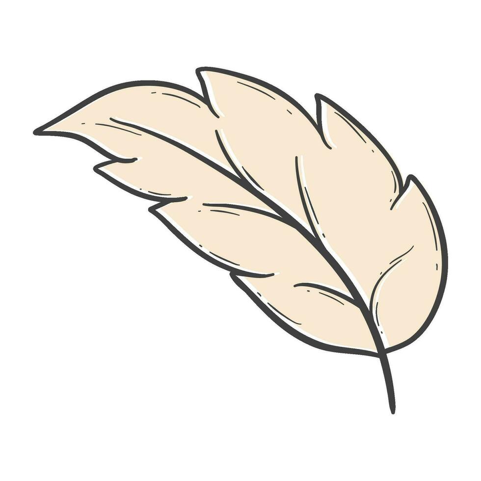 biologisch herfst blad schets decoratie vector