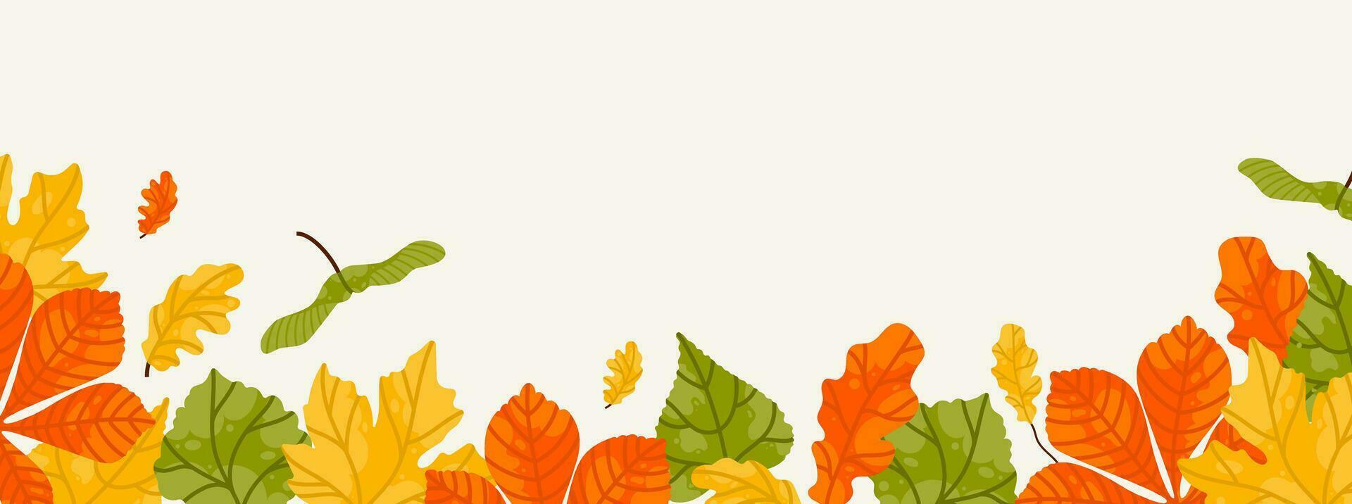 herfst seizoensgebonden achtergrond met lang horizontaal grens gemaakt van vallend herfst bladeren, geel, rood, oranje en groen kleur geïsoleerd Aan achtergrond. Hallo herfst vector illustratie