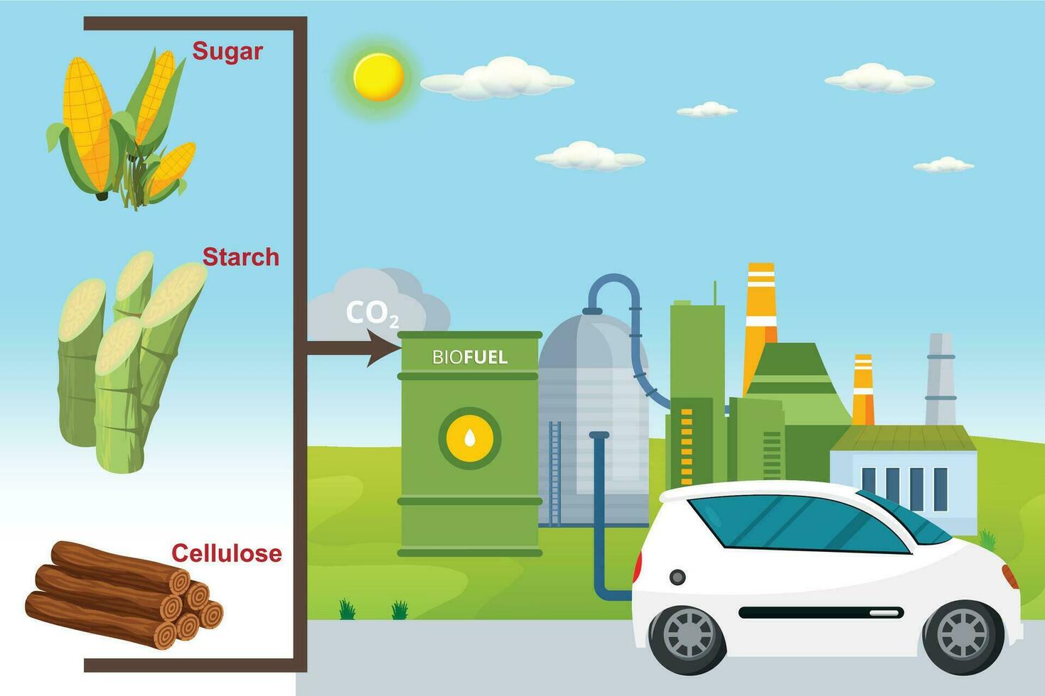 biobrandstof. hernieuwbaar energie bron afgeleid van van biologisch materialen, verminderen kas gas- uitstoot en bevorderen duurzaamheid. vector