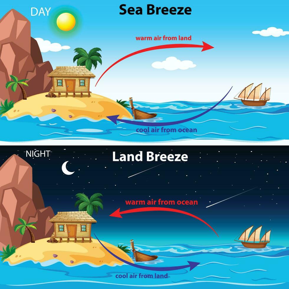 zee wind vs land- wind vector