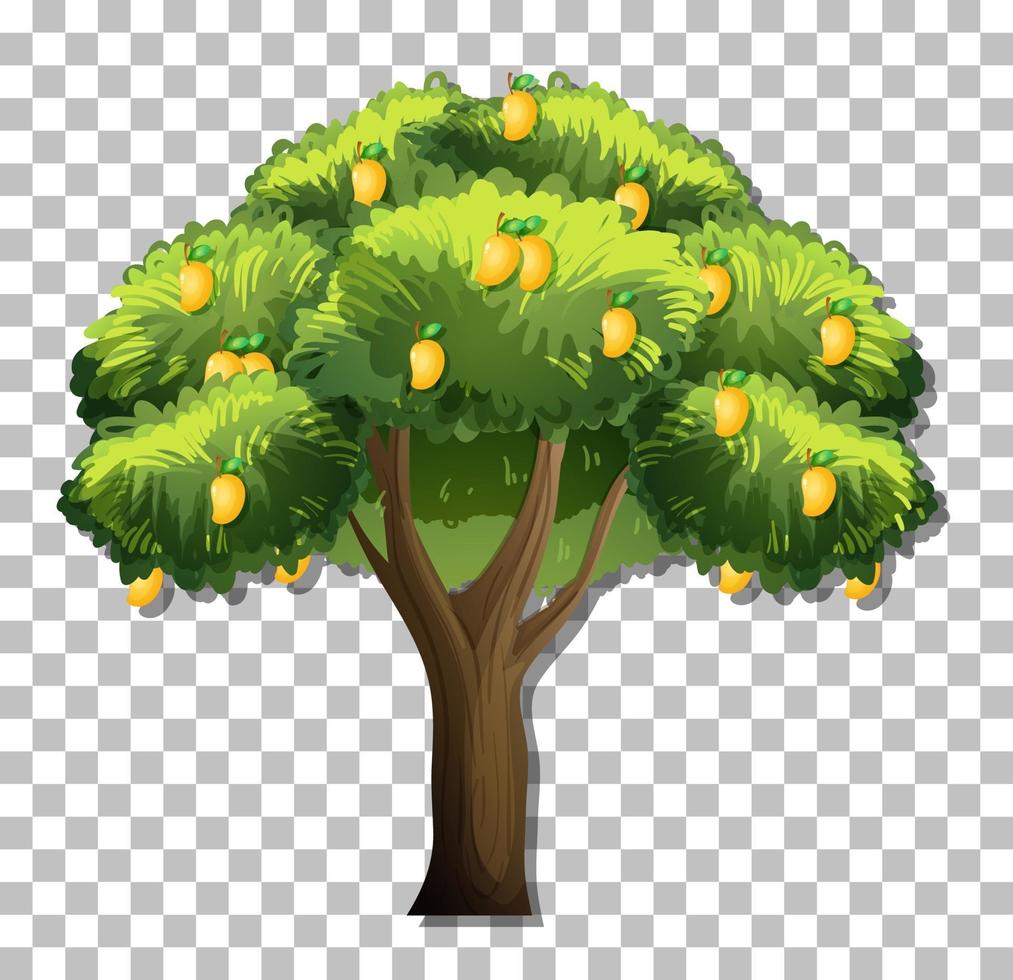 mangoboom geïsoleerd vector