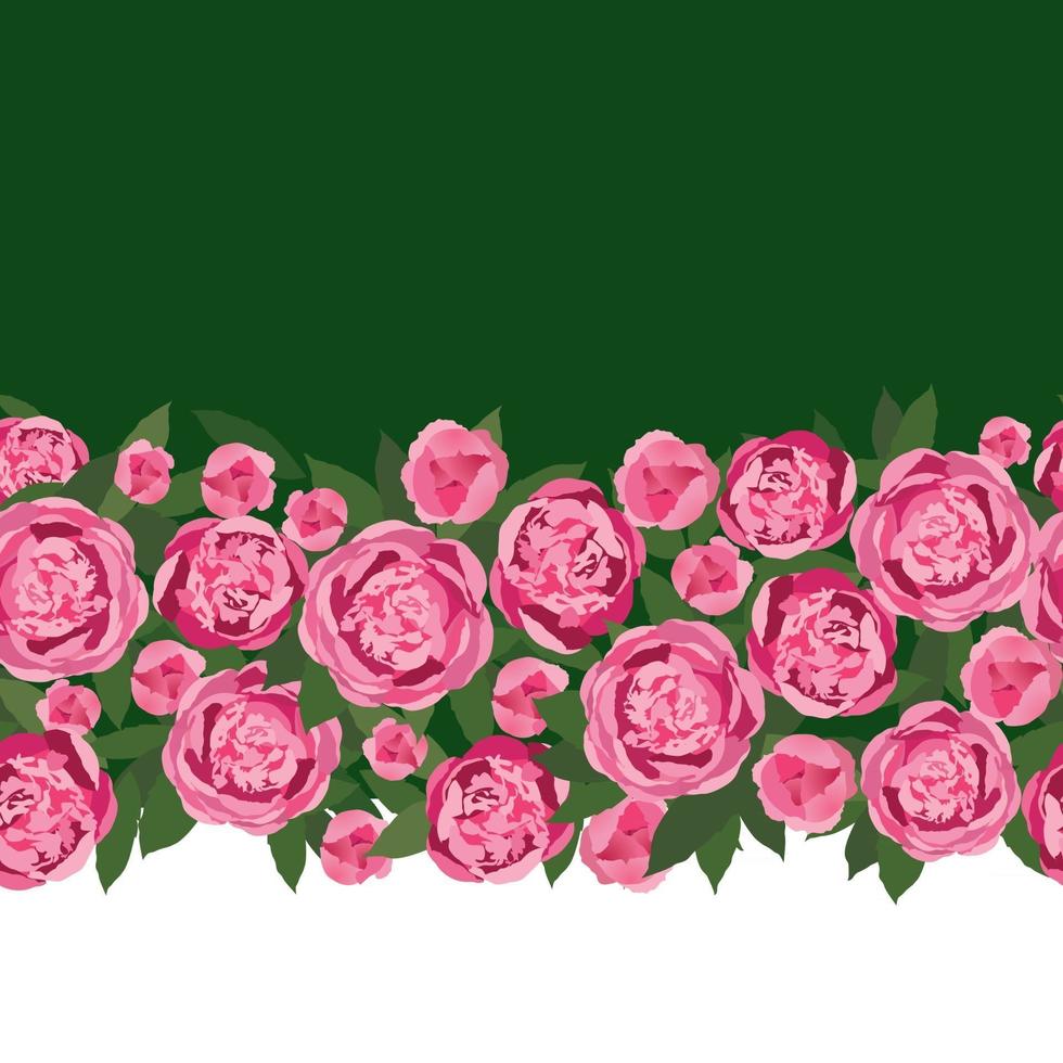 bloem pioen slinger naadloze patroon. bloemenboeket grenskader. bloeien wenskaart ontwerp. bloeiende tuin roze bloemen geïsoleerd op lichtgroene zomer achtergrond vector