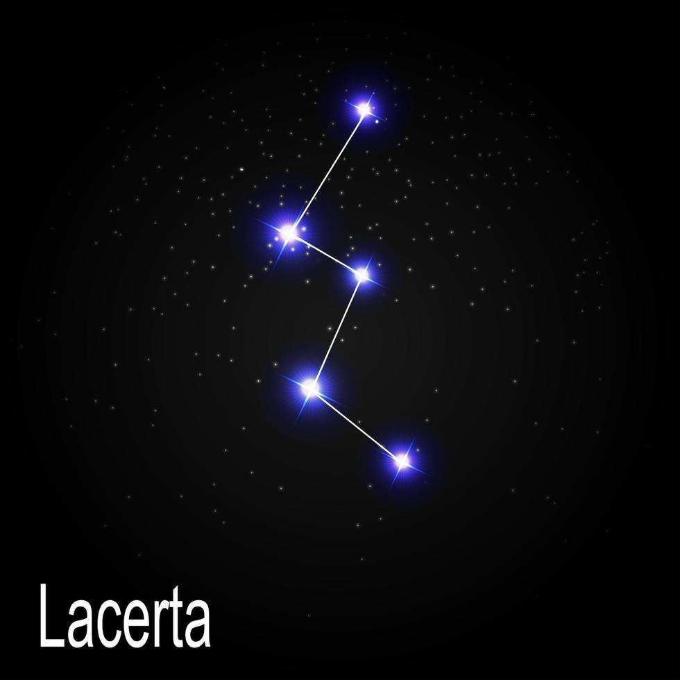 lacerta-sterrenbeeld met mooie heldere sterren op de achtergrond van kosmische hemel vectorillustratie vector