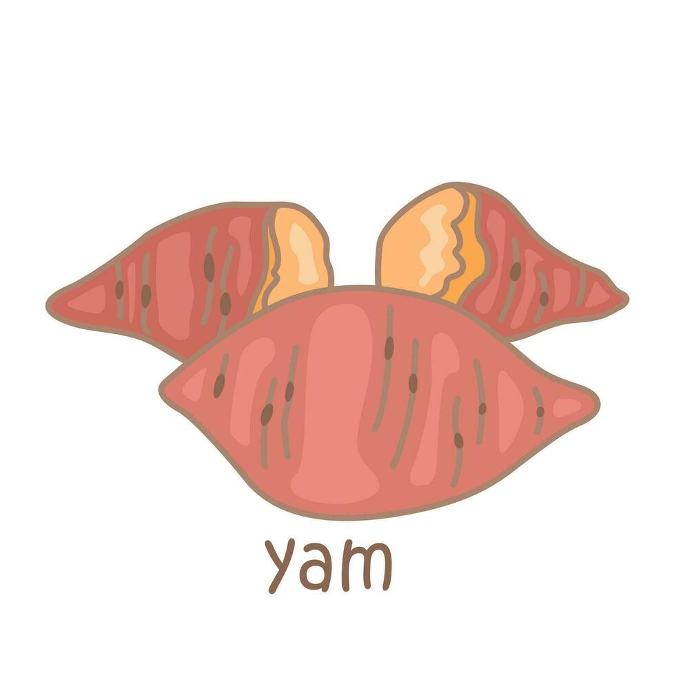 alfabet y voor yam woordenschat school- les tekenfilm illustratie vector clip art sticker