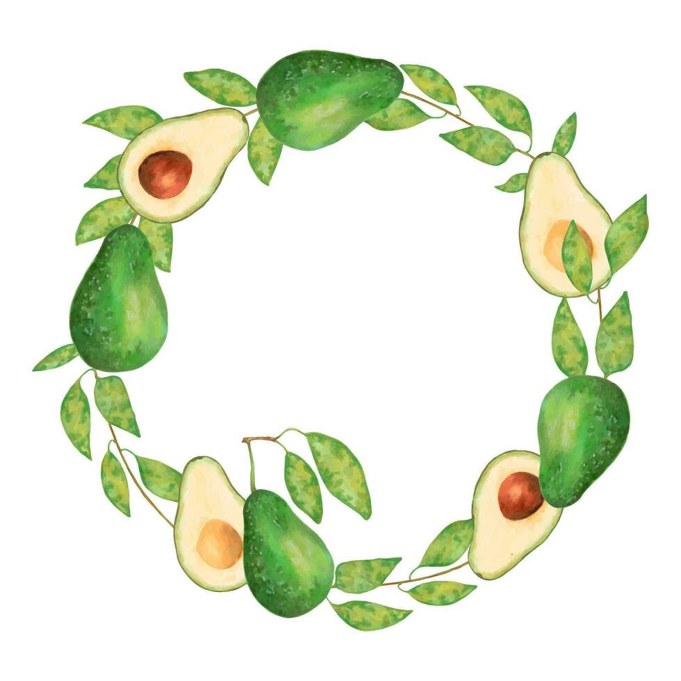 kader, avocado krans met bladeren.wereld vegetarisch dag.rond fruit samenstelling.bloemig elegant illustratie voor ontwerpmarkeringen en aquarel.handgemaakt geïsoleerd kunst. vector